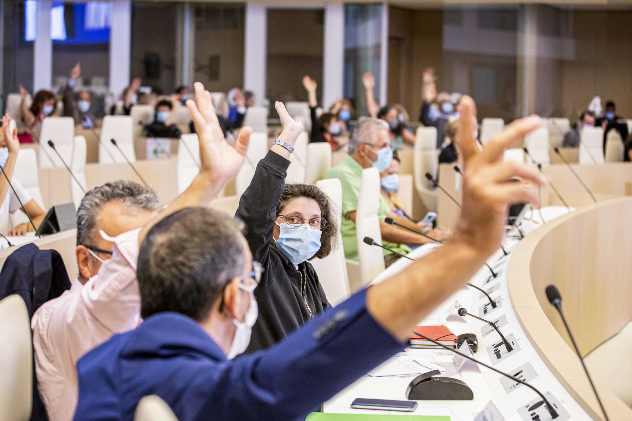 L'assemblée du Ceser votent à main levée