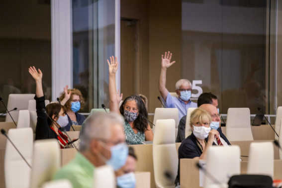 Les conseillers du Ceser votent